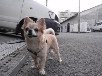 ラックン