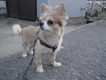 ラックン