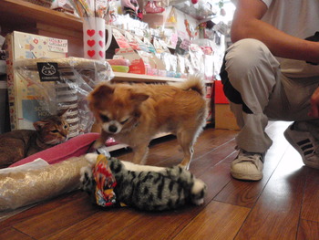 ラックン＆大ちゃん