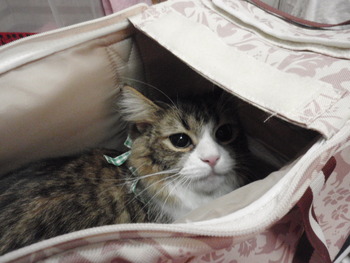 そうちゃん
