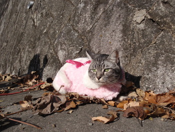 お墓参り