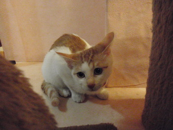 冬子ちゃん