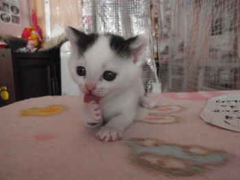 あっかんべ～♪