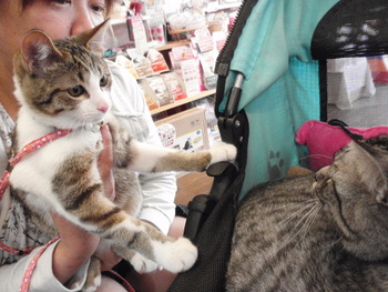 さくらちゃん＆マロン君