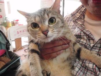 ミキちゃん