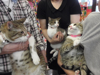 ひなちゃん家族
