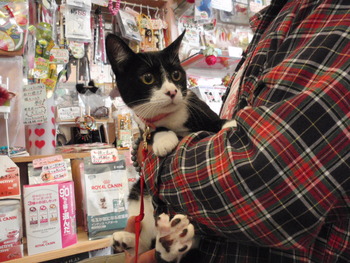 ランちゃん