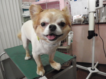 ラックン