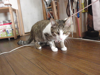 もんちゃん＆マロン君