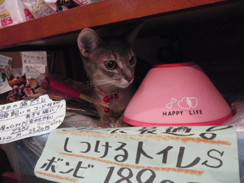 小ちゃん