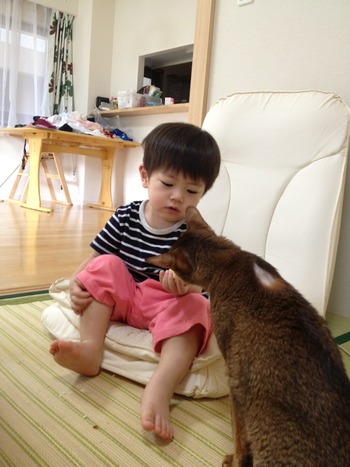 パール君の病気
