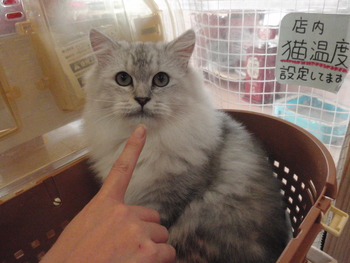 サガン君