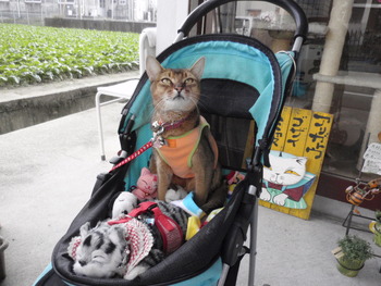 連休のお知らせ