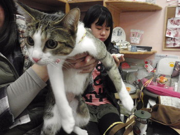 サクラちゃん