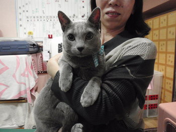ケミ君