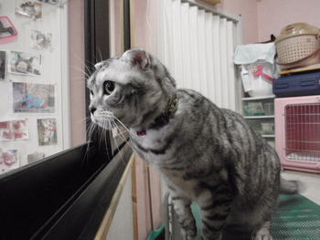 こうめちゃん
