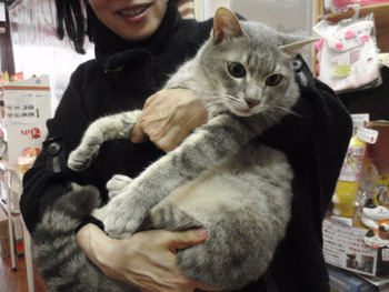 トシゾウ君
