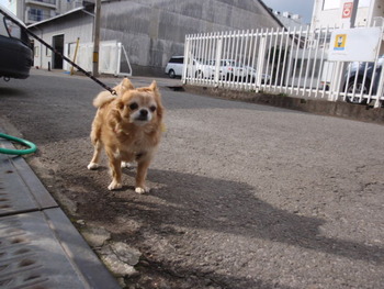 ラックン