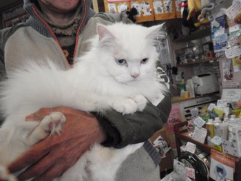 猫＆うさぎの爪きり