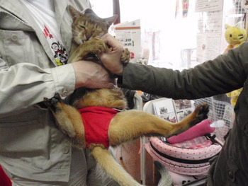 動物チャリティーバザー