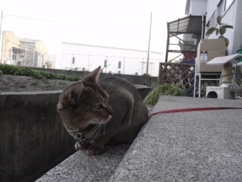 明日から連休