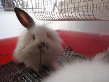 ピクニック来てね～！