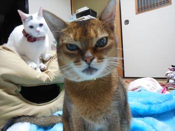 ５連休　お願いします