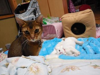 ５連休　お願いします