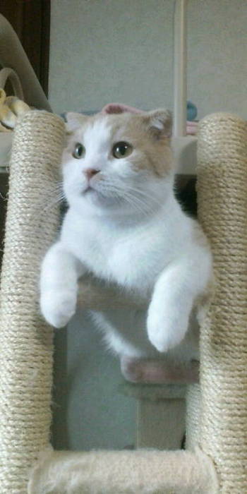 ジャック君