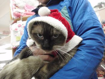 猫サンタさん