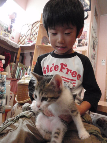 白キジちゃん里親体験