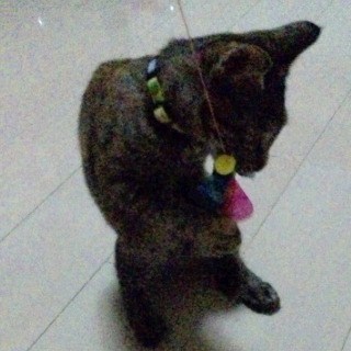 超～人気ブンブン♪