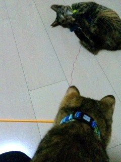 超～人気ブンブン♪