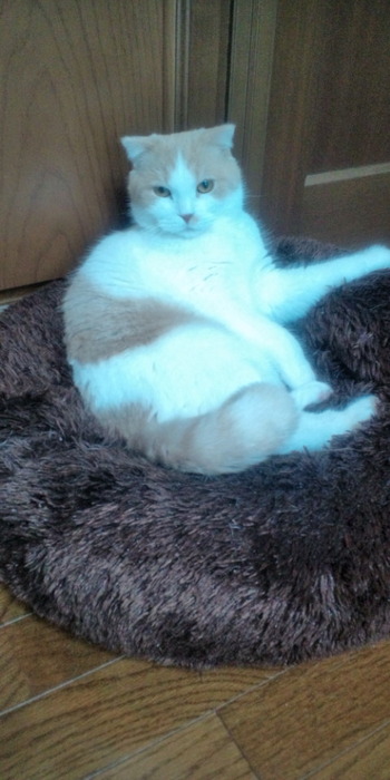ジャック君