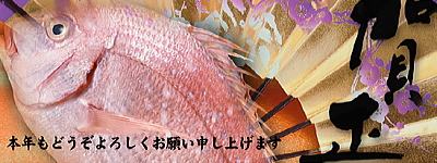 『A☆HAPPY☆NEW☆YEAR☆2009』