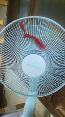 むし暑い夏の日を スッキリ♪