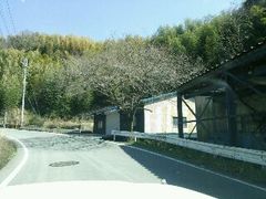 親子ふれあい広場 ファミリーイベント