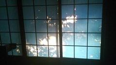 夕焼け
