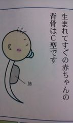 まんまる抱っこ