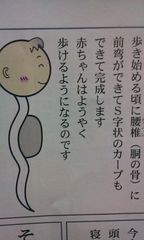 まんまる抱っこ