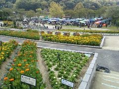【ガネ福市】 有難うございました!
