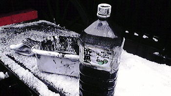 雪の中でも