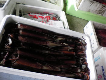 魚を求めて紀美町へ♪