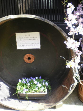 スタッフのお花♪