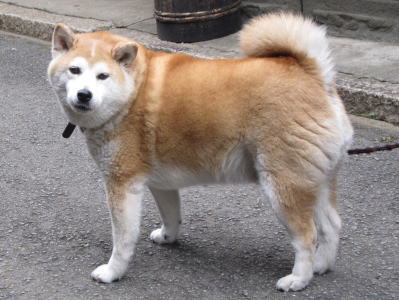 静かな日々