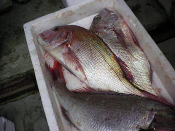 魚を求めて紀美町へ♪
