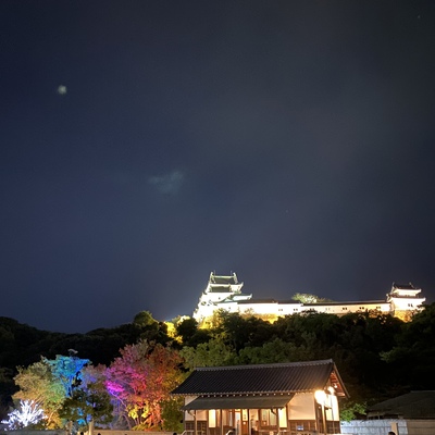 和歌山城 光と音の饗宴