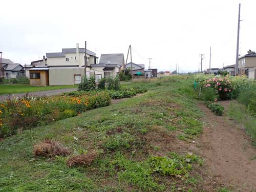 岩内線岩内駅