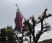高齢者の依存症からの回復