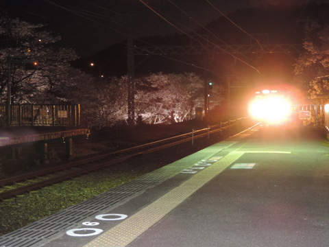 JR阪和線山中渓駅の桜